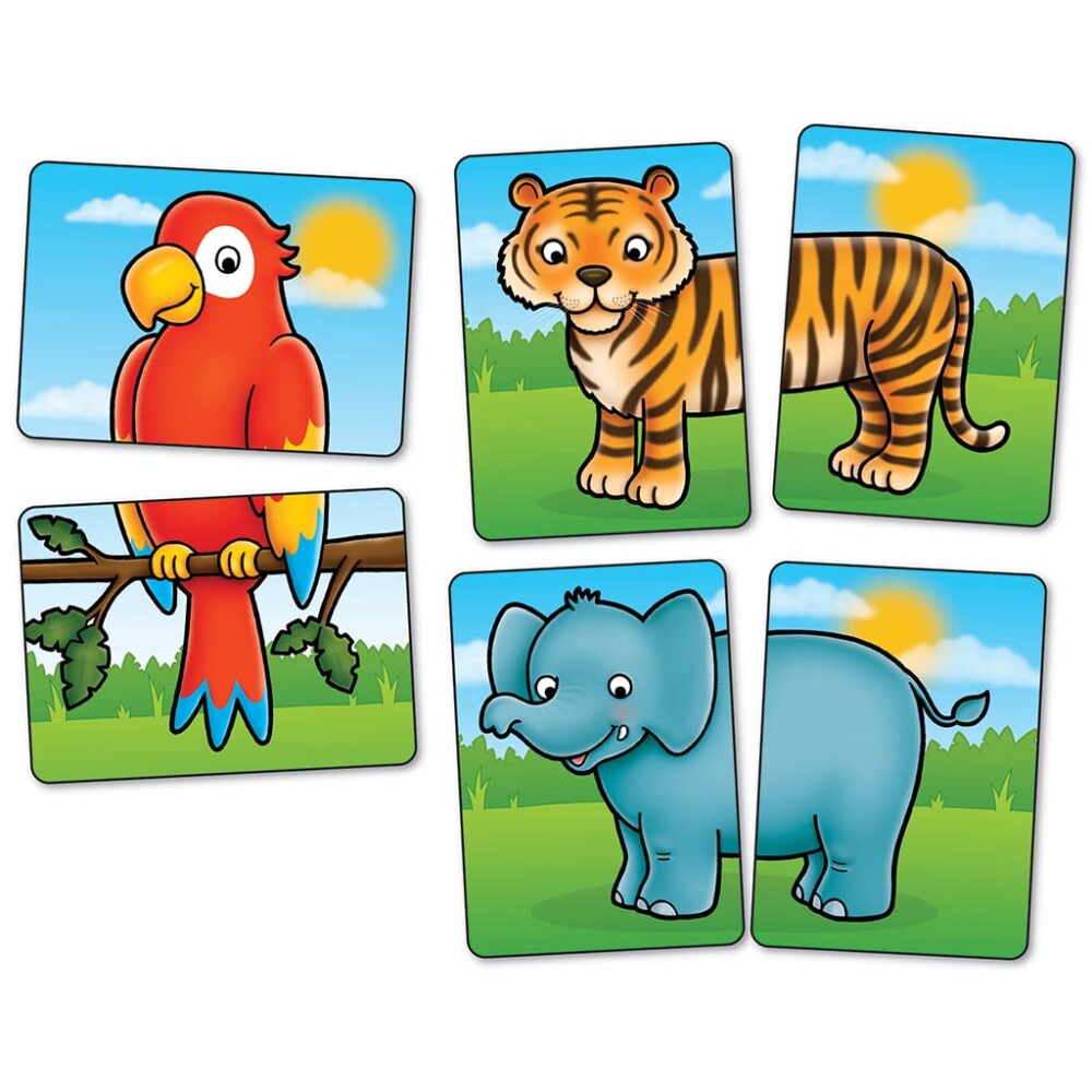 Jungle Heads & Tails - Image 4