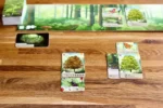 Forest Shuffle - Image 4